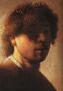 REMBRANDT Harmenszoon van Rijn, A young Rembrandt